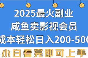 2025最火副业，闲鱼卖vip影视会员，零成本日入200-500