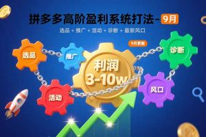 (15916期)拼多多高阶盈利系统打法-9月:选品+推广+活动+诊断+最新风口,月利润3-10w