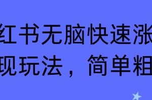 小红书无脑快速涨粉变现玩法,简单粗暴