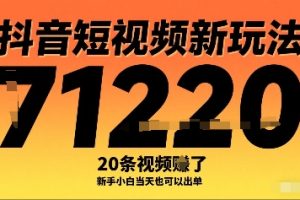 抖音短视频新玩法,20条视频挣了1w+,新手小白当天也可以出单
