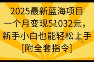 2025最新蓝海项目一个月变现1w+新手小白也能轻松上手【附全套指令】