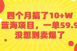 四个月搞了10+W的蓝海项目,一单59.9米,没想到卖爆了