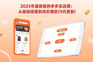 (15899期)2025年最新版拼多多实战课:从基础搭建到高阶爆款(9月更新)