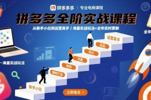 拼多多全阶实战课程,从新手小白到运营高手,海量实战玩法+全年实时更新【2025年9月更新】