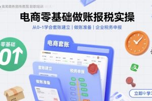电商零基础做账报税实操快速上手,从0-1学会套账建立,做账准备,企业税务申报