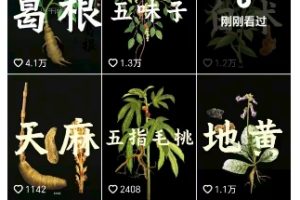 抖音中草药赛道,用AI做中草药故事视频,45条作品涨粉13W,橱窗带货猛猛出单