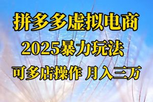 拼多多虚拟电商，不囤货不垫资的虚拟电商