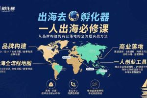 (15857期)出海去 孵化器 一人出海必修课:从品牌构建到商业落地的全流程实战方法
