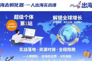 出海去孵化器,一人出海实战课,超级个体第1站,解锁全球增长