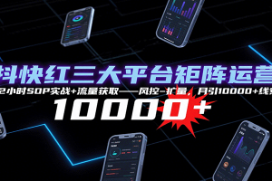 抖快红三大平台矩阵运营,12小时SOP实战+流量获取-风控-扩量,月引10000+线索
