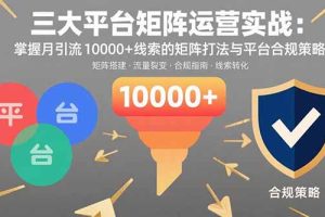 (15841期)三大平台矩阵运营实战:掌握月引流10000+线索的矩阵打法与平台合规策略