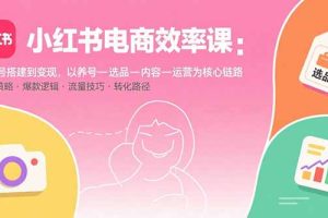(15838期)小红书电商效率课:从账号搭建到变现,以养号-选品-内容-运营为核心链路