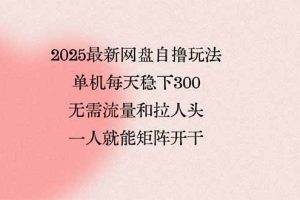 (15831期)2025最新网盘自撸玩法,单机每天稳下3张,无需流量和拉人头,一个人就…