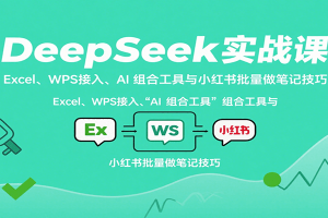 DeepSeek实战课:Excel、WPS接入、AI 组合工具与小红书批量做笔记技巧
