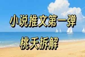 小说推文项目操作全流程第一弹,0粉就能做,门槛低非常适合新手