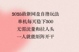 2025最新网盘自撸玩法,单机每天稳下3张,无需流量和拉人头,一个人就可轻松矩阵,全网独一份【揭秘】