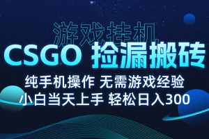 (15820期)8月最新游戏搬砖,CSGO纯挂机,不需要玩游戏,实现真挂机,月入1W+