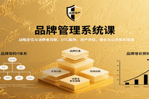 品牌管理系统课:战略定位与消费者洞察,DTC案例、资产评估,增长与公关体系搭建