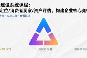 (15772期)品牌建设系统课程:战略定位/消费者洞察/资产评估,构建企业核心竞争力