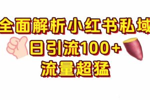 小红书私域引流 每天加100+