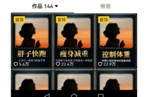 超高变现的短视频减肥细分赛道，减肥账号抖音实战训练营