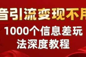 抖音引流变现不用愁:1000个信息差玩法深度教程