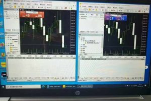 (15748期)美金对冲创业项目,日收益1000-3000,小众暴力项目稳定运行8年