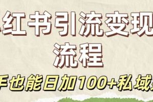 保姆级教程:小红书引流变现全流程,新手也能日加100+私域好友