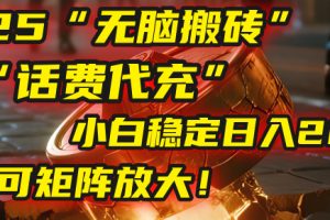 无脑搬砖项目：靠“话费代充”，小白稳定日入200+，可矩阵放大！