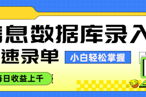 信息数据库录入，秒速录单，小白轻松掌握，每日收益上千