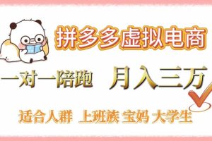 拼多多虚拟电商，一对一陪跑，月入3万，0囤货，轻资产，不发货