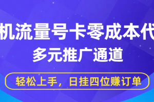 手机流量号卡零成本代理，多元推广通道，轻松上手，日挂四位赚订单