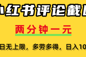 小红书评论区评论截图，一分钟2条，日入几千，多劳多得