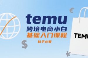 temu跨境电商小白基础入门课程,新手必看