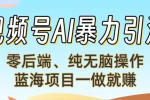 视频号AI暴力引流：零后端、纯无脑操作，蓝海项目一做就赚！【下面那个链接失效了】