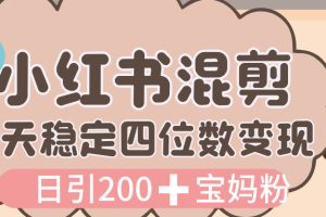 价值 3980 的小红书混剪， 虚拟变现，日引 200+宝妈创业粉，每天稳定四位数变现