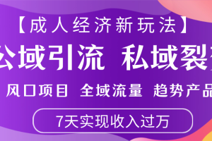 首发：【成人经济新玩法】市面独家玩法，风口项目、全域流量、趋势产品，7天实现月入过万
