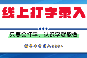 简单线上打字录入，用手机或者电脑就能操作，会识字就能玩，新人小白日入300+