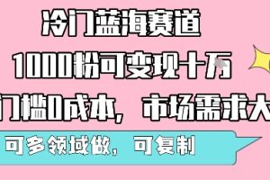 冷门蓝海赛道,1000粉可变现十W,无门槛0成本,市场需求大,可多领域做,可复制性强