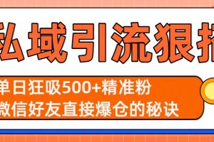 私域引流狠招：单日狂吸500+精准粉，微信好友直接爆仓的秘诀