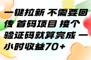 (15588期)一键拉新 不需要回传 首码项目 接个验证码就算完成 一小时收益70+