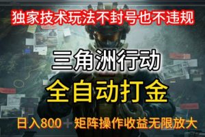 三角洲最新全自动G机,独家技术玩法,不封号也不违规, 日入8张+可矩阵操作,收益无限放大【揭秘】