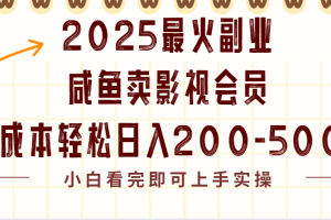 2025最火副业闲鱼卖vip影视会员，零成本日入200-500