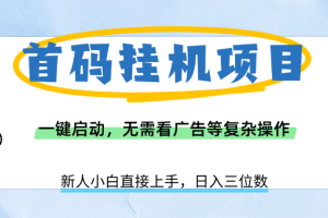 首码挂机项目，一键启动，无需看广告等复杂操作，新手小白日入三位数