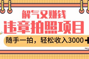 最新违章拍照赚钱，解气又赚钱的项目，随手一拍，轻松收入3000+