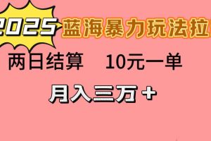 蓝海暴力拉新项目，10元一单，两日结算，月入3w➕