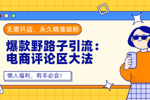 爆款野路子引流：电商评论区大法，无需开店，永久精准吸粉，懒人福利，有手必会！