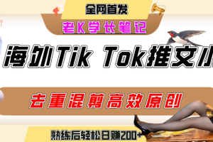 海外tiktok小说推文暴力项目，高停留率，高转化率，上手后一天搞顿饭钱不是问题