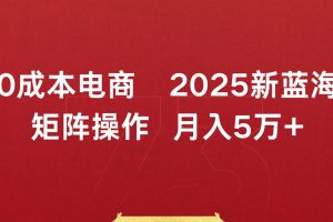 0成本电商2025新蓝海矩阵操作 月入5万+