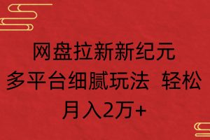 网盘拉新新纪元多平台细腻玩法 轻松月入2万+